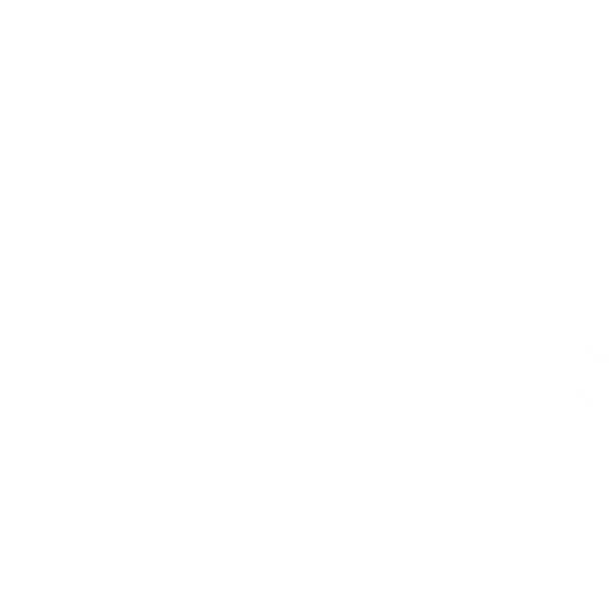 Carson City Sheriff's Supervisory Association badge